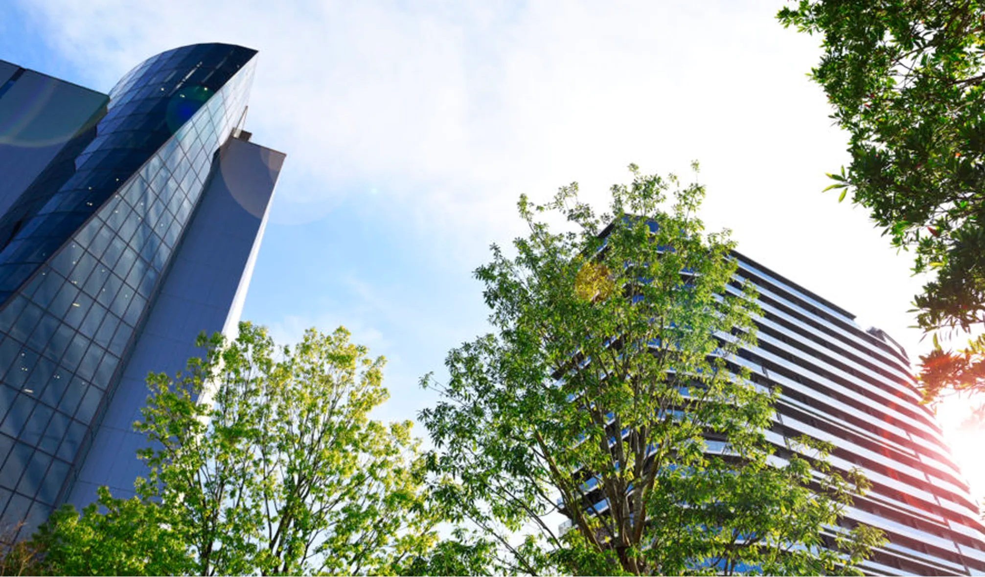 EmptyName 8 1 converted